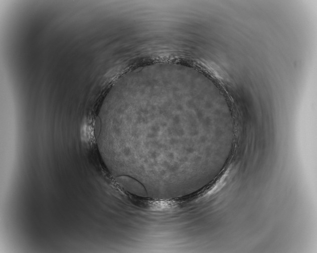 X0000096400432200801241204