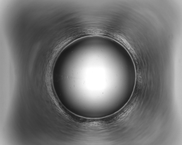 X0000096400433200801241204