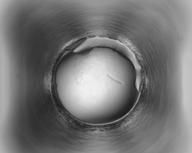 X0000096400434200801241204