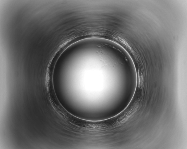 X0000096400435200801241204