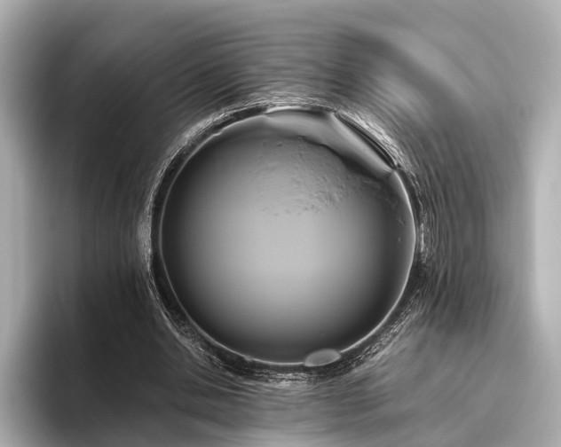 X0000096400438200801241204