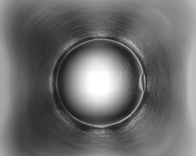 X0000096400439200801241204