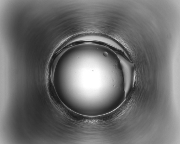 X0000096400440200801241204