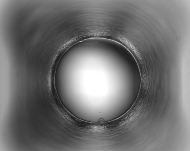 X0000096400442200801241204