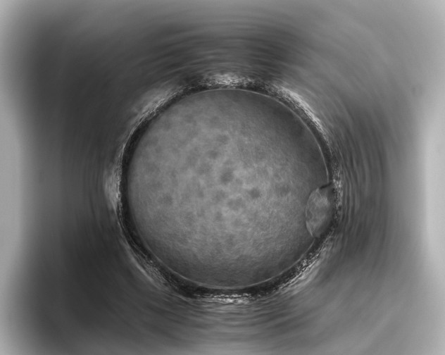 X0000096400443200801241204