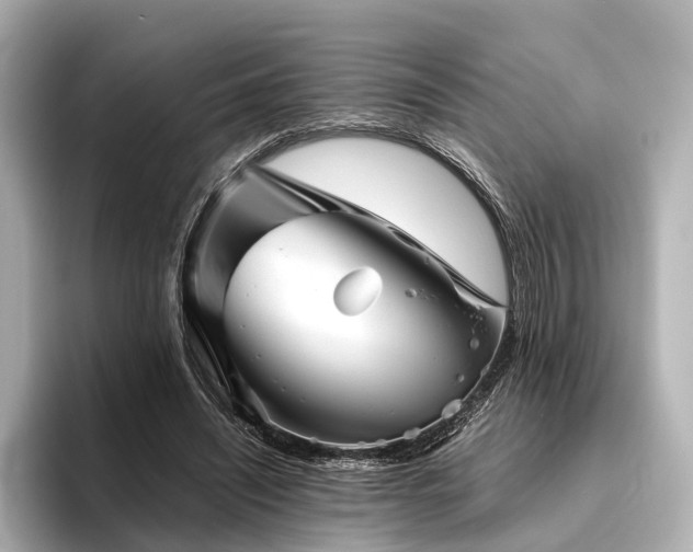 X0000096400444200801241204