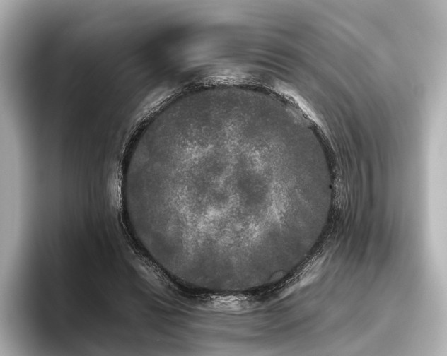 X0000096400446200801241204