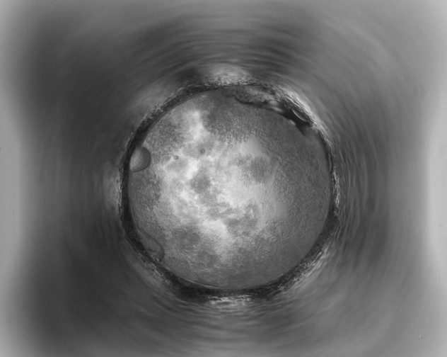 X0000096400447200801241204