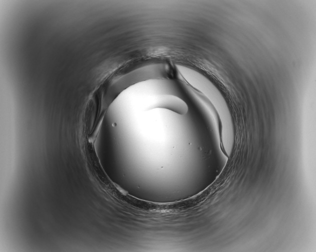 X0000096400448200801241204