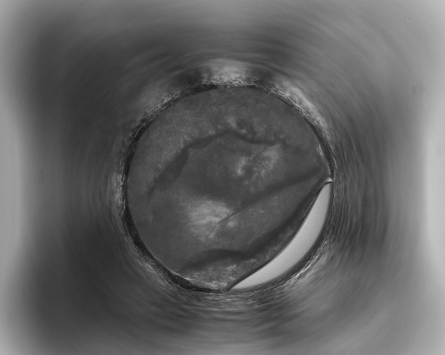 X0000096400449200801241204