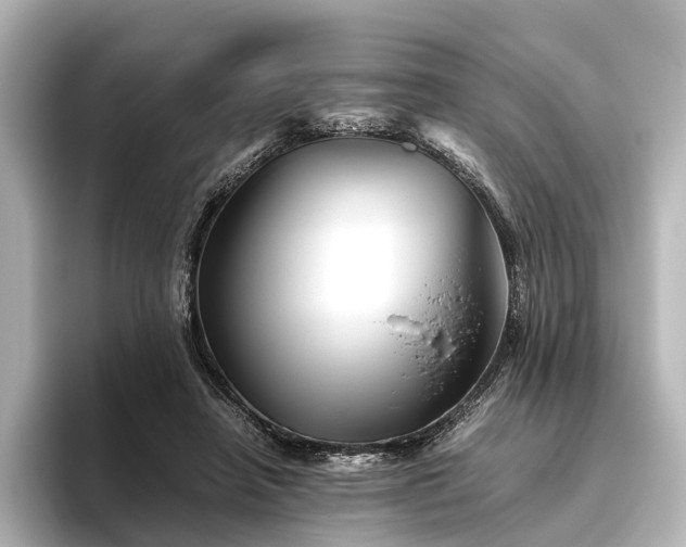 X0000096400450200801241204