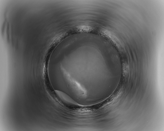 X0000096400451200801241204