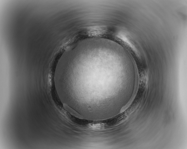 X0000096400452200801241204