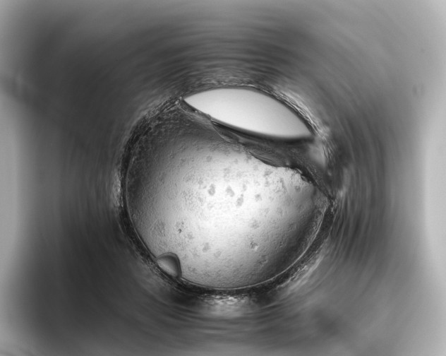 X0000096400453200801241204