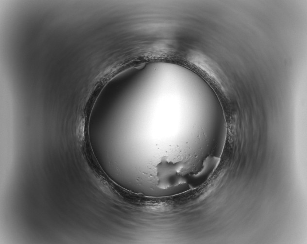 X0000096400454200801241204