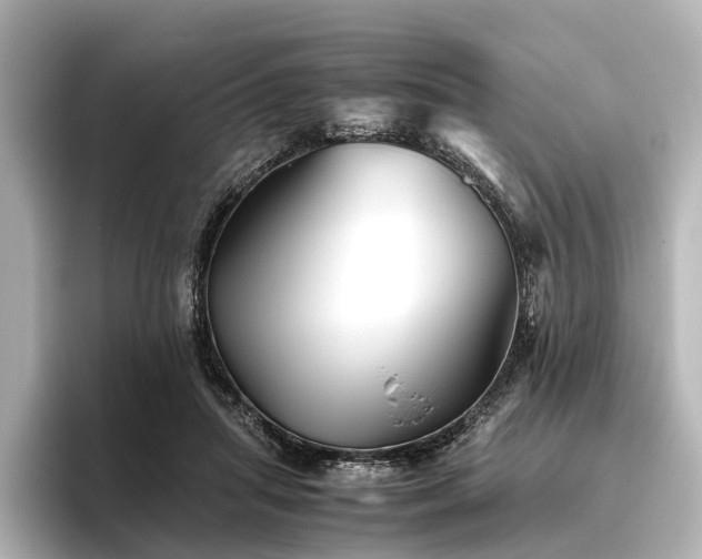 X0000096400455200801241204