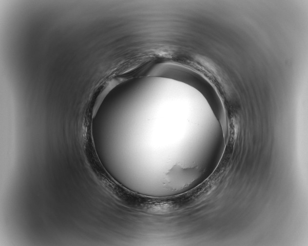 X0000096400456200801241204