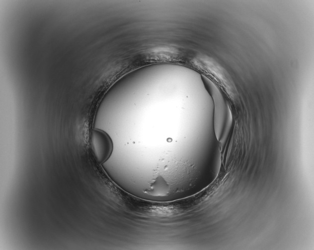 X0000096400457200801241204