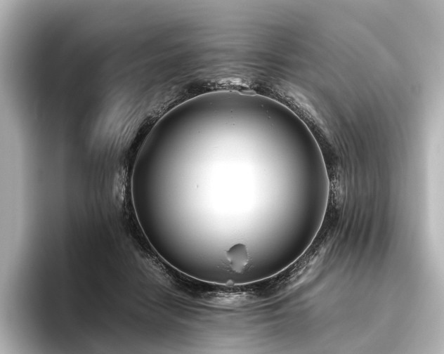 X0000096400458200801241204