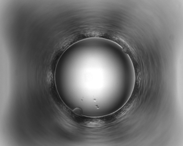 X0000096400459200801241204