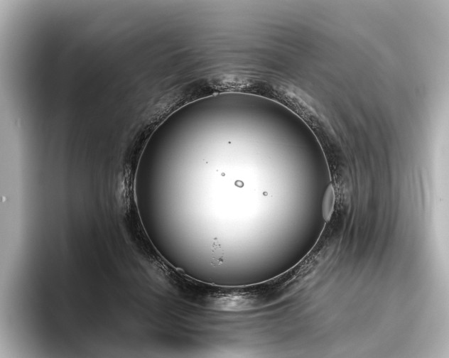 X0000096400460200801241204