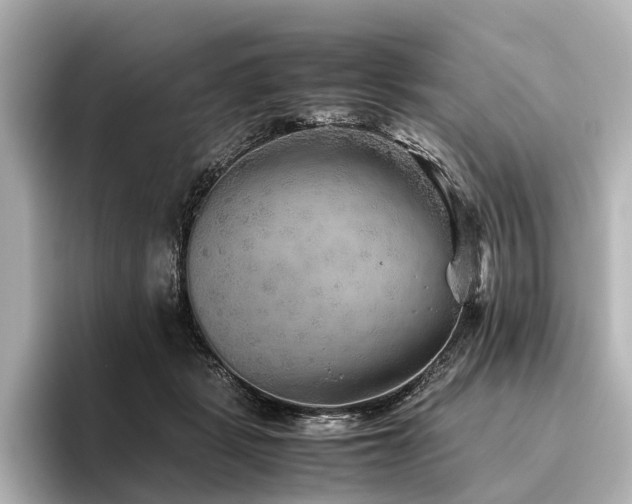 X0000096400461200801241204