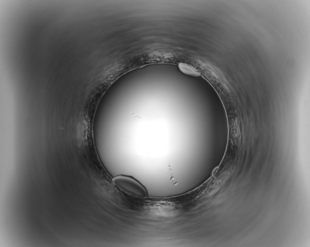 X0000096400463200801241204