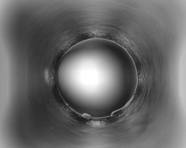 X0000096400464200801241204