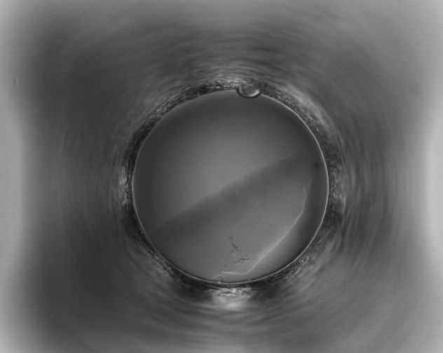 X0000096400465200801241204