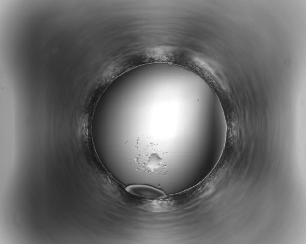 X0000096400466200801241204