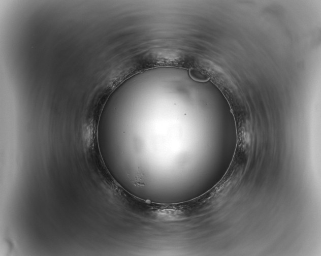 X0000096400468200801241204