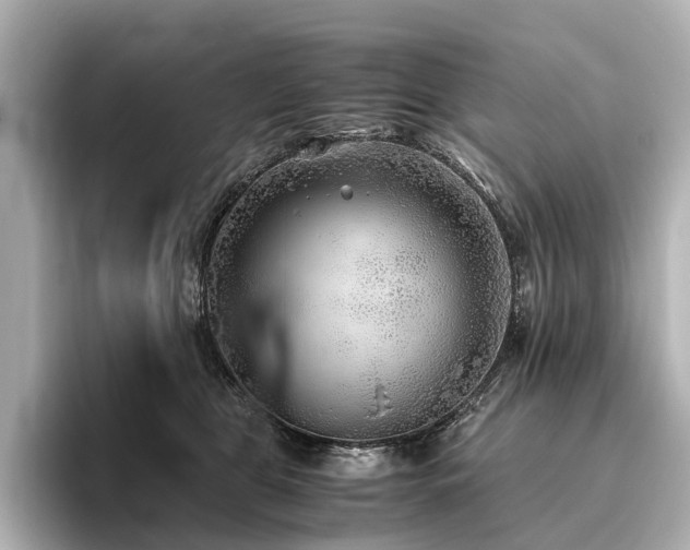 X0000096400469200801241204