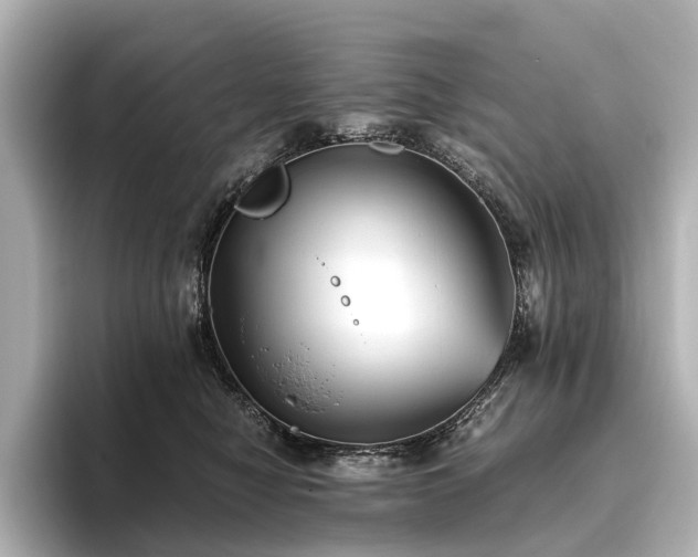 X0000096400470200801241204