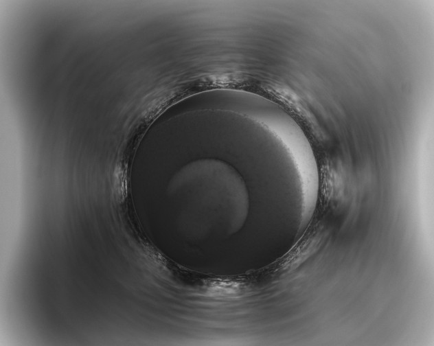 X0000096400471200801241204