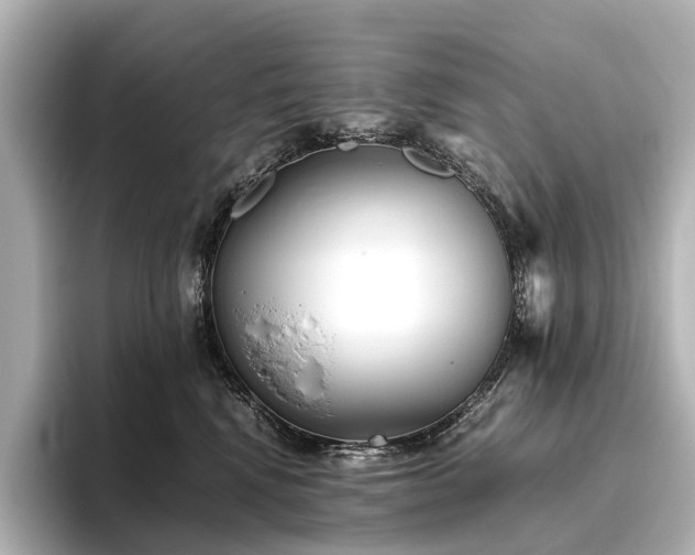 X0000096400472200801241204