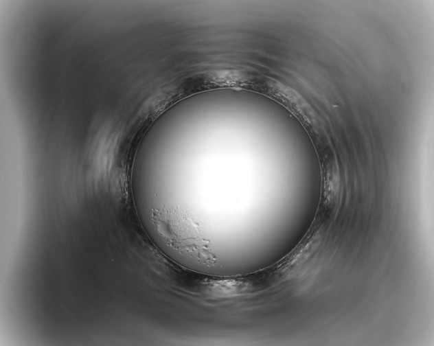 X0000096400473200801241204