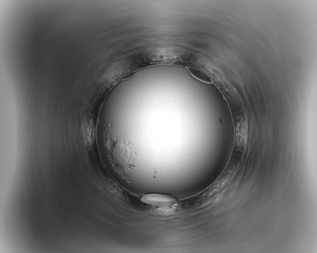 X0000096400474200801241204