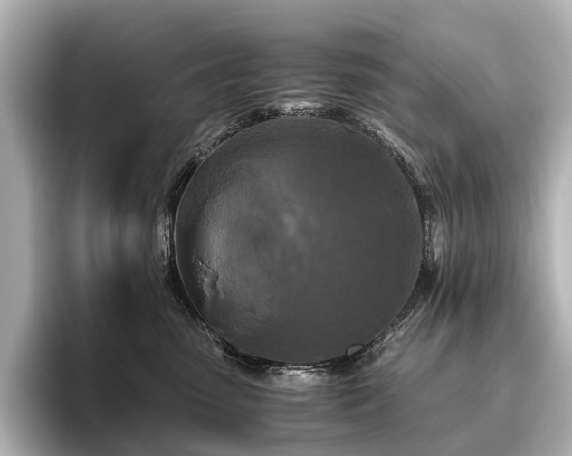 X0000096400475200801241204