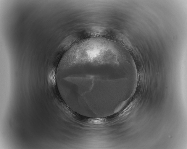 X0000096400479200801241204