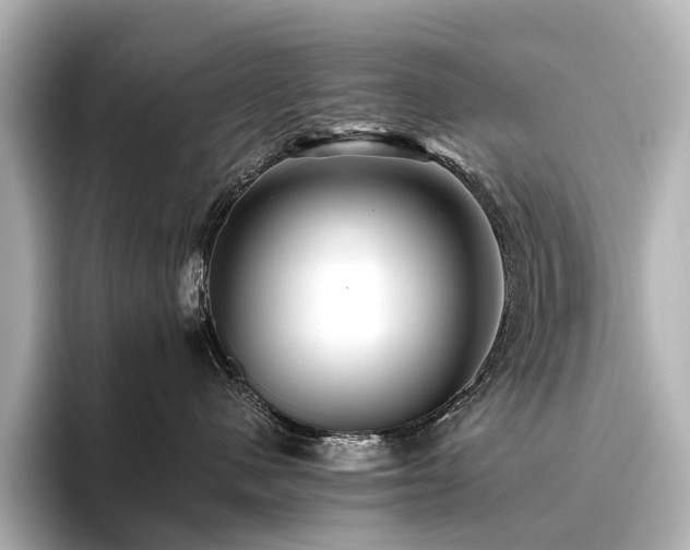 X0000096400480200801241204