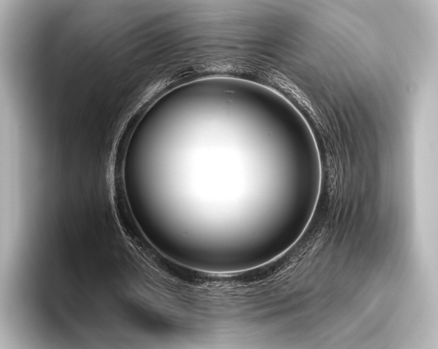 X0000096400482200801241204