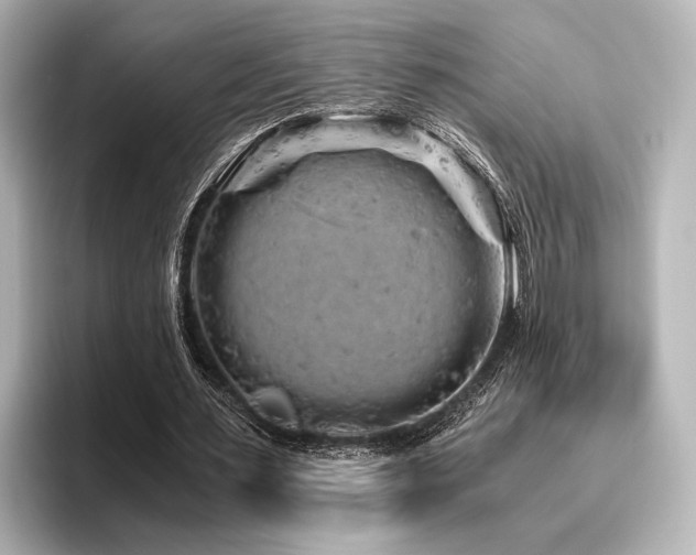 X0000096400483200801241204