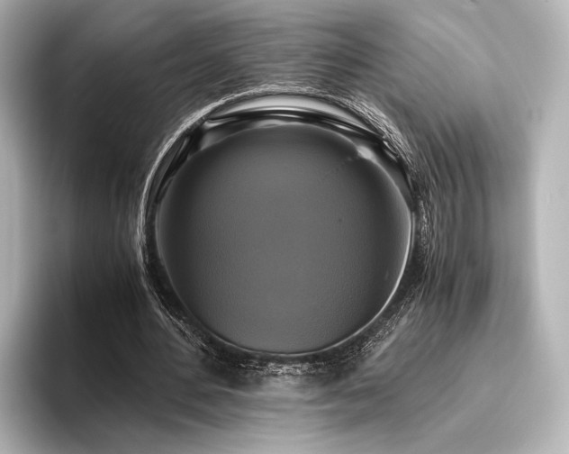 X0000096400484200801241204