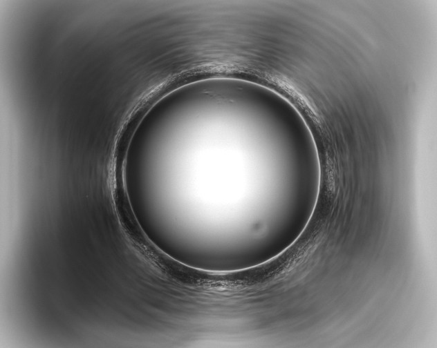 X0000096400486200801241204