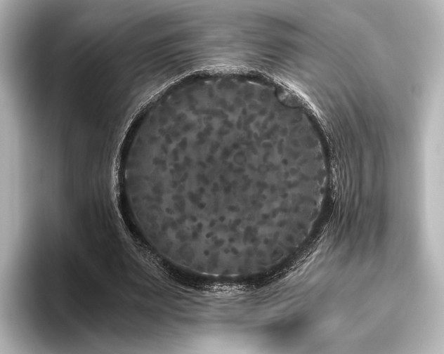 X0000096400487200801241204