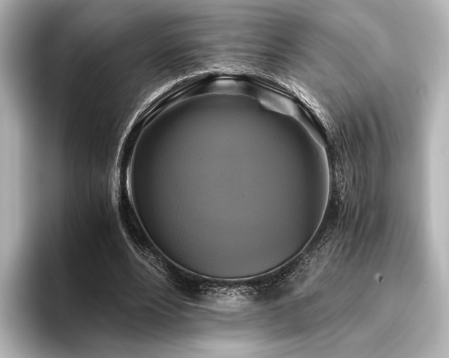 X0000096400488200801241204