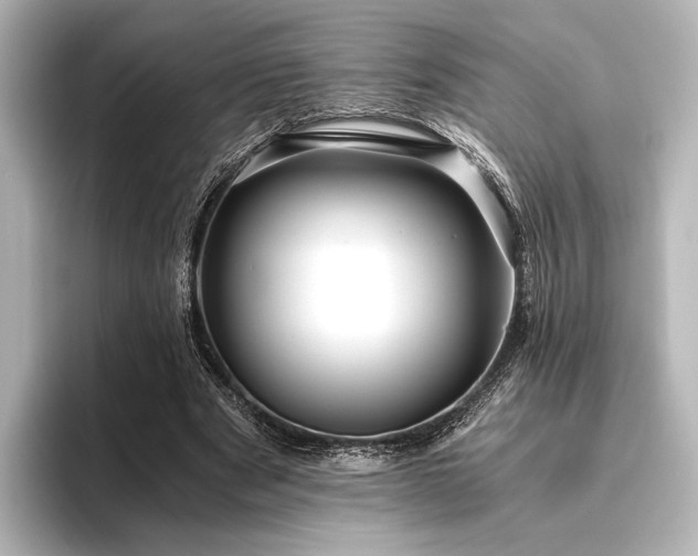 X0000096400489200801241204