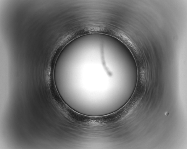 X0000096400490200801241204