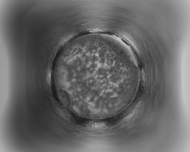 X0000096400491200801241203