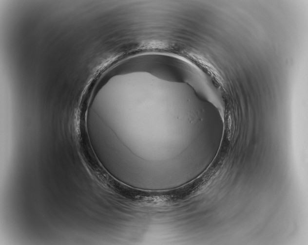 X0000096400492200801241203